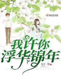 我许你，浮华锦年章节列表