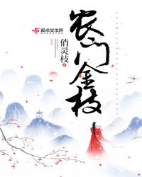 农门金枝章节列表