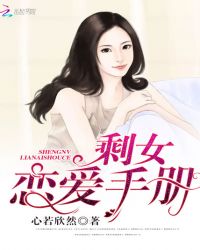剩女恋爱手册章节列表