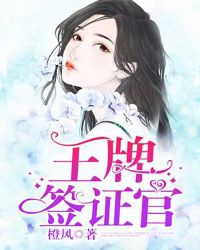 王牌签证官章节列表