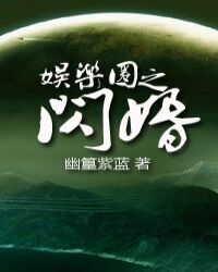 娱乐圈之闪婚章节列表