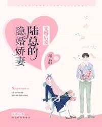 先婚后爱：陆总的隐婚娇妻章节列表