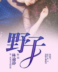 野子章节列表