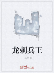 龙刺兵王章节列表