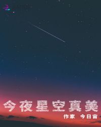 今夜星空真美章节列表