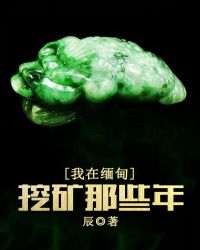 我在缅甸挖矿那些年章节列表