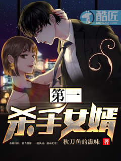 第一杀手女婿章节列表