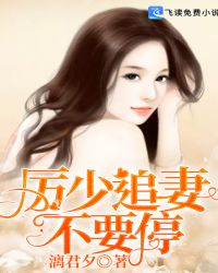 厉少追妻不要停章节列表