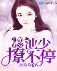 甜婚蜜爱：池少，撩不停章节列表