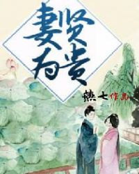妻贤为贵章节列表