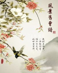 红楼之风景旧曾谙章节列表
