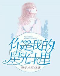 你是我的星光十里章节列表