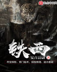 铁西章节列表