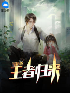 王者归来当奶爸章节列表