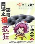 网游之菜鸟很疯狂章节列表