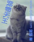 宠物天王章节列表