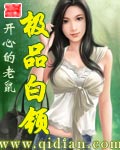 极品白领章节列表