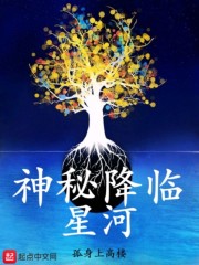 神秘降临星河章节列表