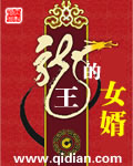 龙王的女婿章节列表