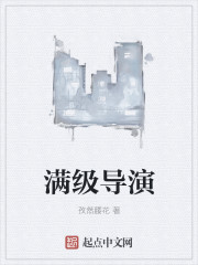 满级导演章节列表