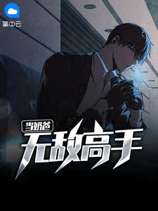 无敌高手当奶爸章节列表