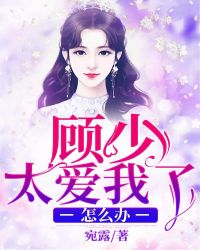 顾少太爱我了怎么办章节列表