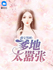 沈蔚浠凌司夜章节列表