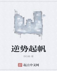 逆势起帆章节列表