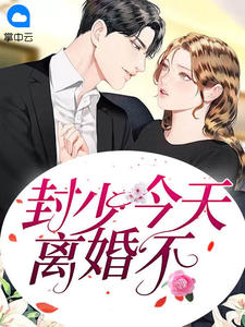 封少，今天离婚不章节列表