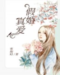 假婚真爱章节列表