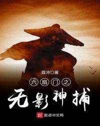 六扇门之无影神捕章节列表