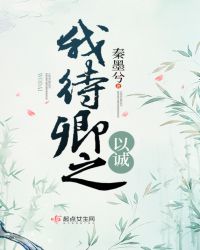 我待卿之以诚章节列表