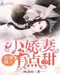 宠婚撩人：小娇妻，有点甜章节列表