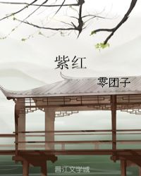 紫红章节列表