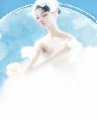 总裁追妻：追一送一章节列表