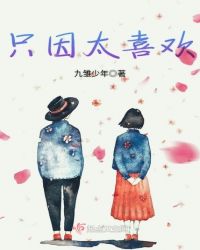 只因太喜欢章节列表