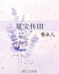 夏宝传Ⅲ章节列表