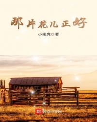 那片花儿正好章节列表