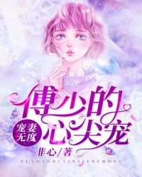 宠妻无度：傅少的心尖宠章节列表