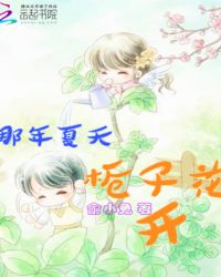 那年夏天，栀子花开章节列表