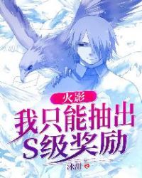 火影：我只能抽出S级奖励章节列表