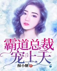 霸道总裁宠上天章节列表