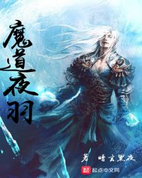 魔道夜羽章节列表