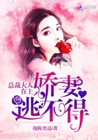 总裁大人在上：娇妻逃不得章节列表