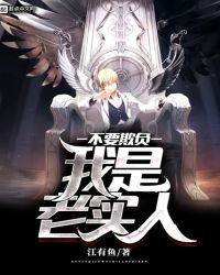 不要欺负我是老实人章节列表