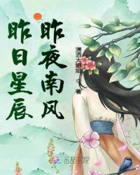 昨日星辰昨夜南风章节列表