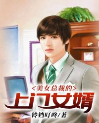 美女总裁的上门女婿章节列表