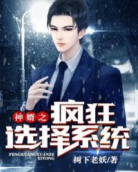 神婿之疯狂选择系统章节列表