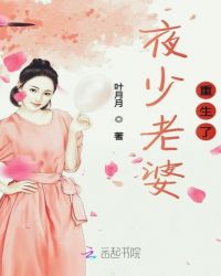 夜少老婆重生了章节列表