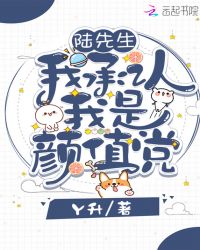 陆先生我承认我是颜值党章节列表
